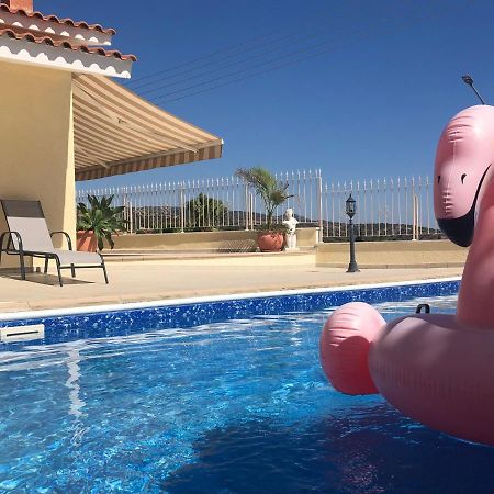 Peyia Palm Villa Paphos Buitenkant foto